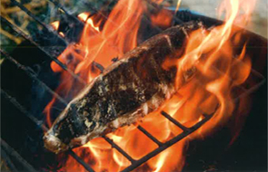 土佐の郷土料理かつおのたたきの「藁焼き」も体験。