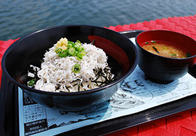 田子の浦港漁協食堂の生しらす丼